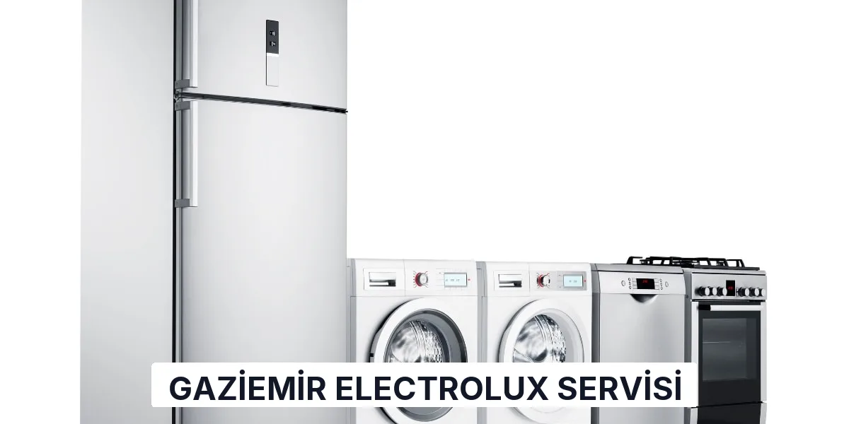 Gaziemir Electrolux Servisi