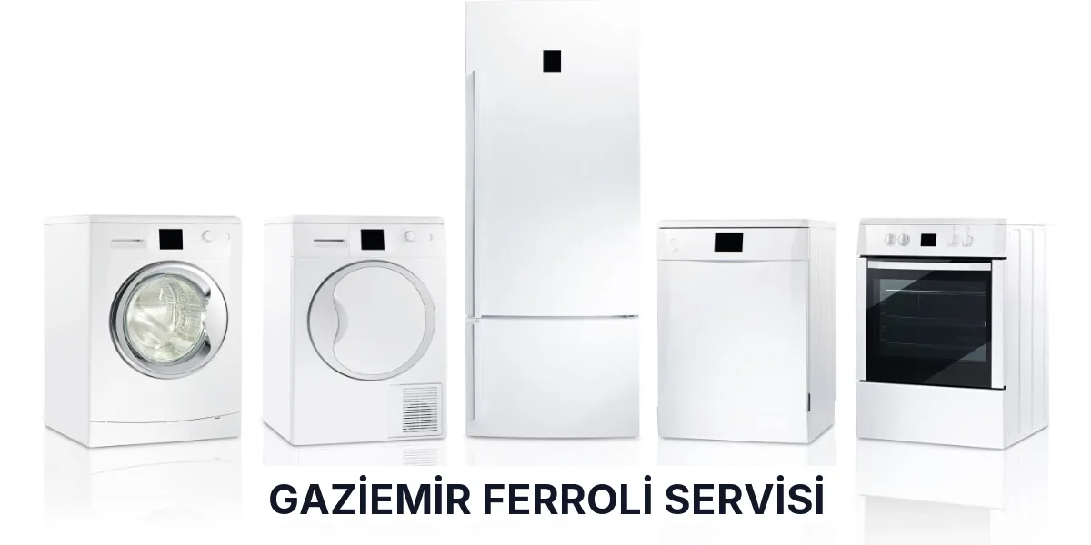 Gaziemir Ferroli Servisi