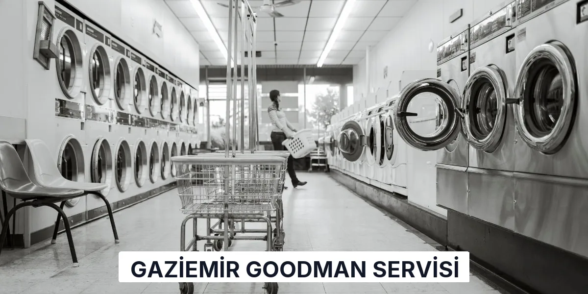 Gaziemir Goodman Servisi
