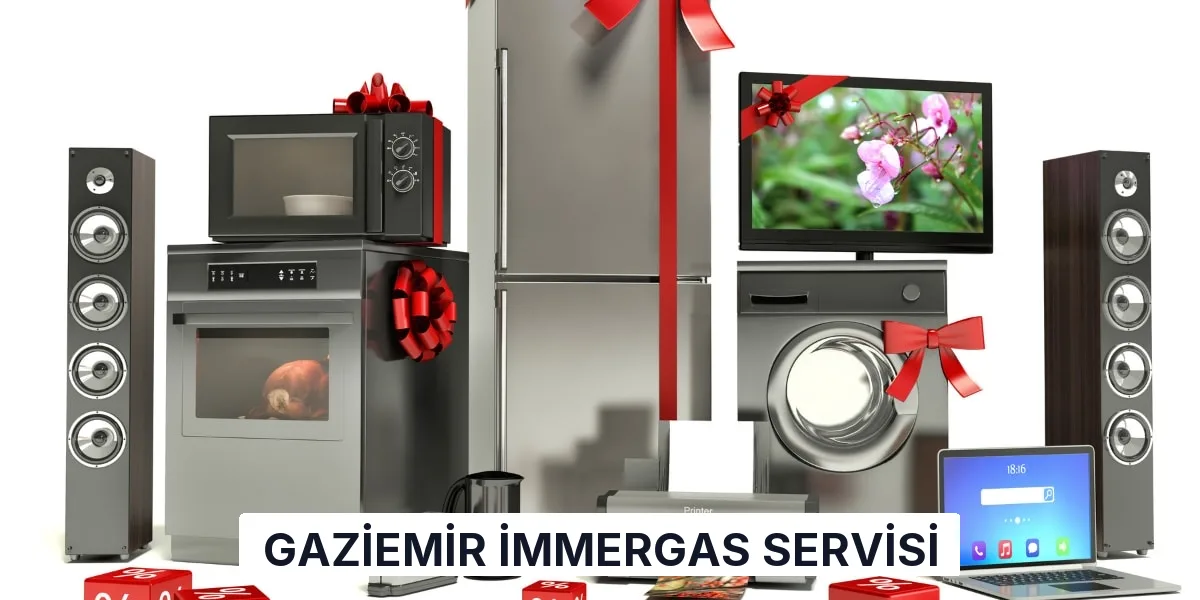 Gaziemir İmmergas Servisi